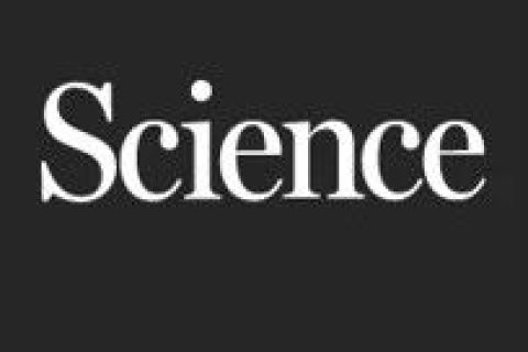 上海交大/硅酸鹽所今日《Science》：在無機(jī)塑性半導(dǎo)體領(lǐng)域取得重大突破!