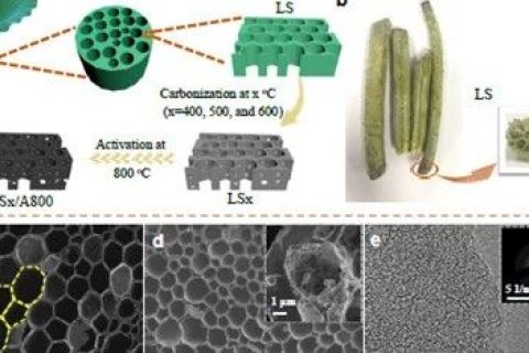 北航相艷課題組：可大規(guī)模生產(chǎn)的具有三級孔結(jié)構(gòu)的三維碳框架應(yīng)用于超級電容器和電容去離子