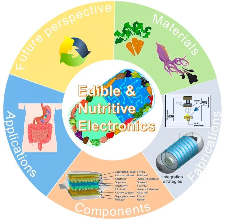 五邑大學(xué)巫瑩柱副教授與亞利桑那州立大學(xué)姜漢卿教授綜述：可食用、有營(yíng)養(yǎng)電子器件：材料、制備方法、器件和應(yīng)用