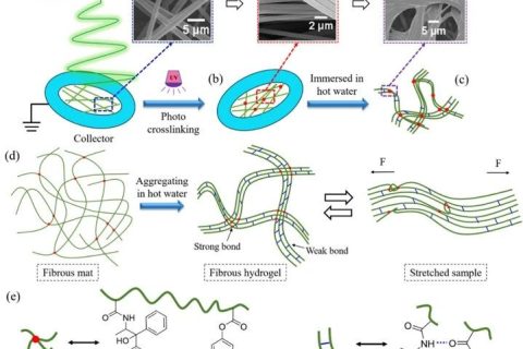 微納米纖維“邂逅”溫敏水凝膠，實現(xiàn)水下超快自恢復(fù)性能