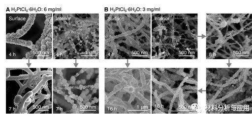 北京科技大學(xué)等《ACS Appl. Electron. Mater.》：使用碳納米管支架開(kāi)發(fā)彈性，堅(jiān)固和高度多孔的金屬泡沫