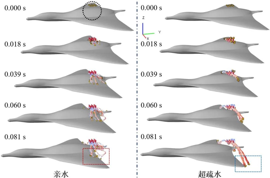 吉林大學(xué)任露泉院士團(tuán)隊：跨介質(zhì)飛行器仿生基礎(chǔ)理論研究——利用移動各向異性超疏水表面誘導(dǎo)液滴定向翻滾實現(xiàn)附著水高效脫附