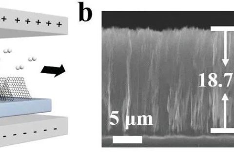 北京大學(xué)張錦院士團(tuán)隊(duì)：垂直排列的石墨烯陣列！散熱技術(shù)新突破