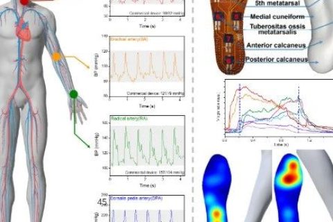 清華大學(xué)任天令團(tuán)隊《ACS Nano》：在柔性壓力傳感器方面取得突破