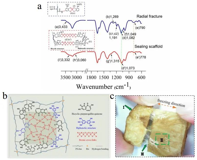 江漢大學曹一平《ACS Nano?》：仿生新成果！響應空氣-水的復合材料，具有優(yōu)異的隔熱、自修復和自生長能力