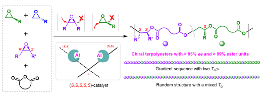 大連理工大學(xué)呂小兵教授團隊《PNAS》：在手性聚酯創(chuàng)制領(lǐng)域取得重要進展