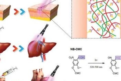 液體繃帶！具有強大組織粘合力、出色的止血、抗菌性能