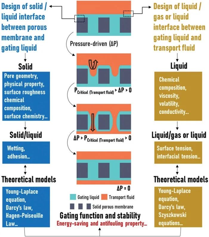 廈門大學(xué)侯旭課題組綜述：液基多孔膜，微納孔道藏世界，液體門控通乾坤！