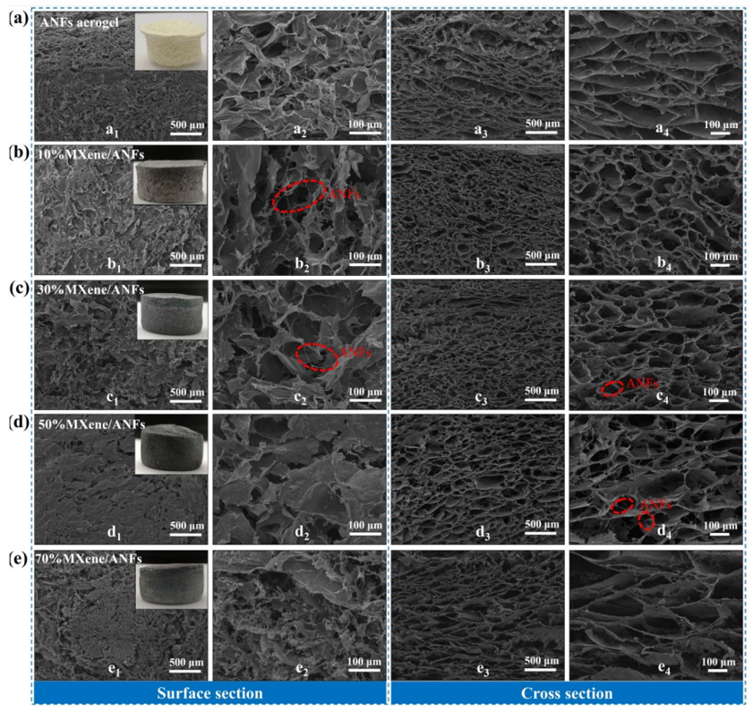 Kevlar納米纖維和MXene再登《ACS Nano》：陜科大張美云團(tuán)隊(duì)：高回彈性、耐高溫、高靈敏度氣凝膠傳感器