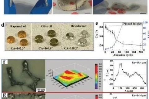 清華大學(xué)鄭泉水院士團(tuán)隊《AFM》：耐磨損、耐沖擊、自清潔的超疏水/超疏油微納復(fù)合材料