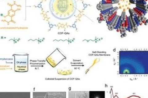具有最高氫氧化物電導(dǎo)率的COFs膜，實現(xiàn)超快陰離子傳輸