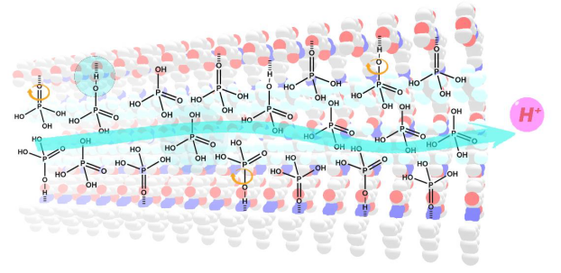 南京理工大學(xué)張根《JACS》：在質(zhì)子交換隔膜材料方面取得最新研究進展