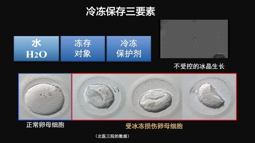 王健君：實(shí)證百年科學(xué)猜想，人體凍存未來(lái)可期