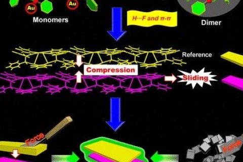 控制AIEgen晶體的分子運動，實現(xiàn)力致發(fā)光