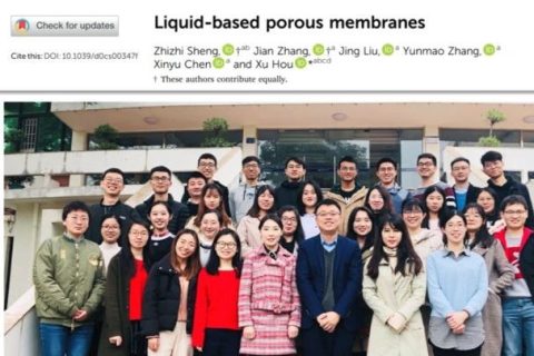 廈門大學(xué)侯旭課題組綜述：液基多孔膜，微納孔道藏世界，液體門控通乾坤！