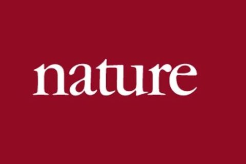 《Nature》子刊：仿昆蟲表皮的膽甾型圖案設計用于密碼學標簽！