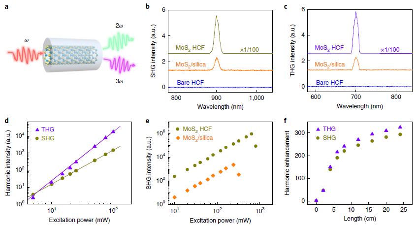 北京大學劉忠范院士/劉開輝教授等《自然·納米技術》：光纖內(nèi)二維材料的均勻生長實現(xiàn)超高非線性