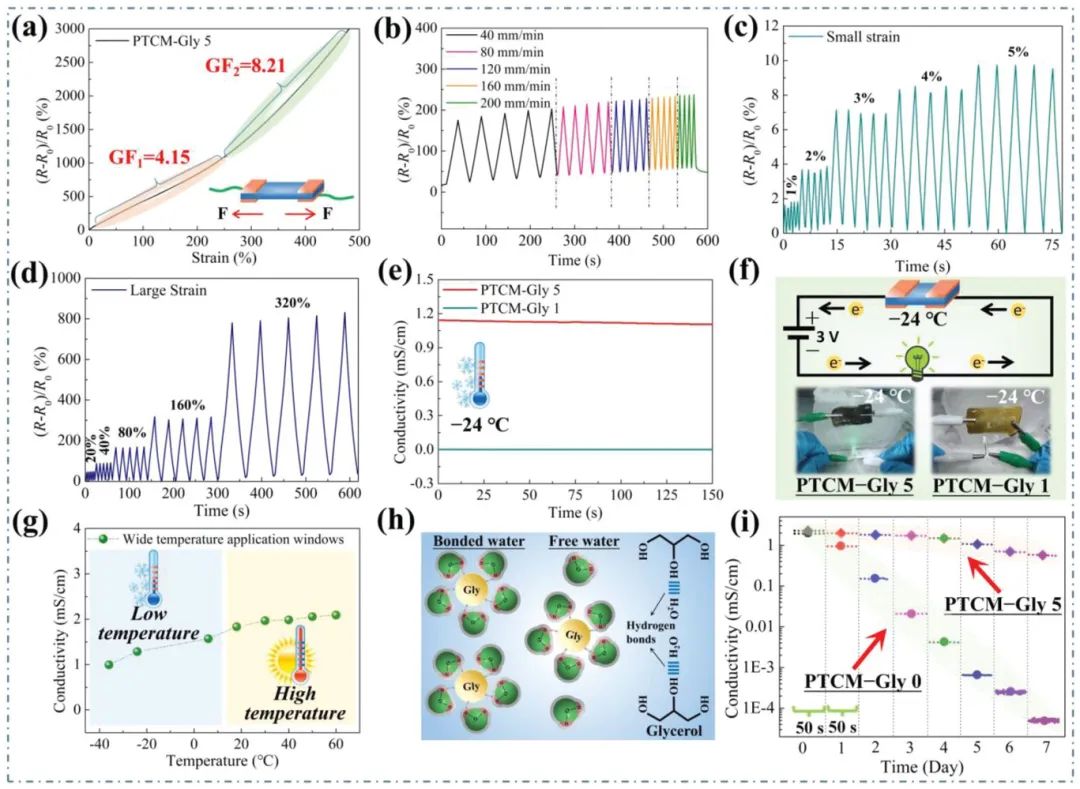 華南理工大學陳港團隊《AFM》：MXene基抗凍超穩(wěn)定導電有機水凝膠