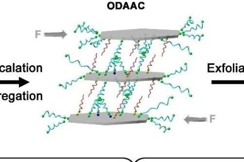 北理工羅運軍團隊：傳統(tǒng)層狀材料——粘土的剝離取得重要進展