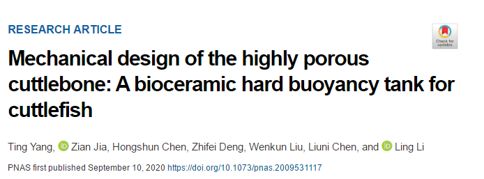 吃墨魚發(fā)了一篇頂刊《PNAS》！墨魚骨的秘密被揭開！