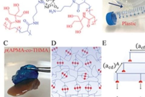 具有“分擔(dān)負(fù)荷”作用的粘性水凝膠，可作為組織繃帶用于藥物和細(xì)胞的輸送。