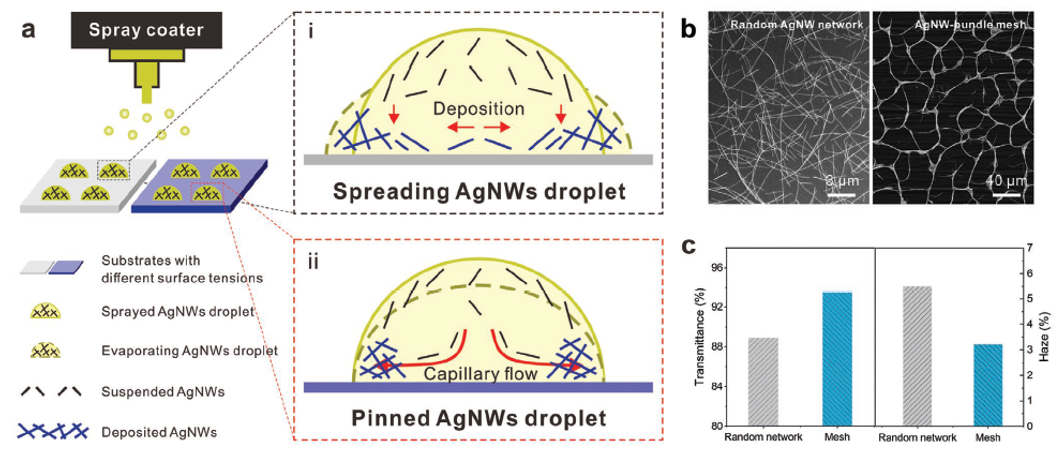 南洋理工李佩詩團隊《AFM》：噴涂組裝策略制備高性能銀納米線透明導電網(wǎng)絡
