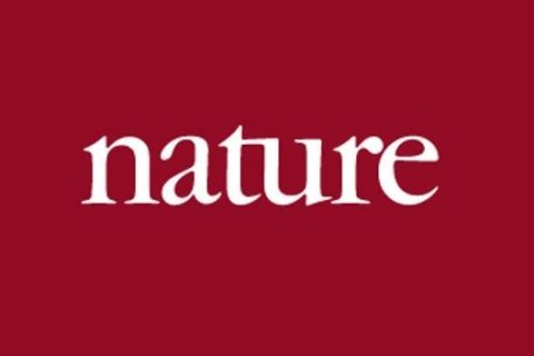 《Nature》：實(shí)現(xiàn)“不可能”！3D打印微型二氧化硅氣凝膠