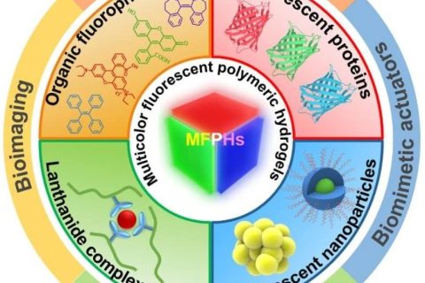 《德國應化》綜述：熒光高分子水凝膠中的多彩世界