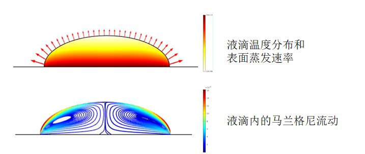 從六大領(lǐng)域數(shù)十篇頂刊，看仿真模擬到底可以用來(lái)做什么？