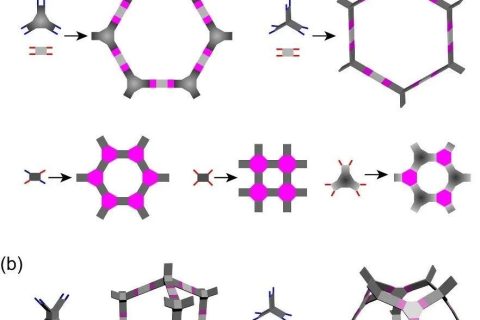 方磊《Chem》綜述：多孔網絡梯狀聚合物