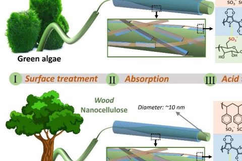 納米纖維素誘導制備高結晶度PEDOT納米纖維