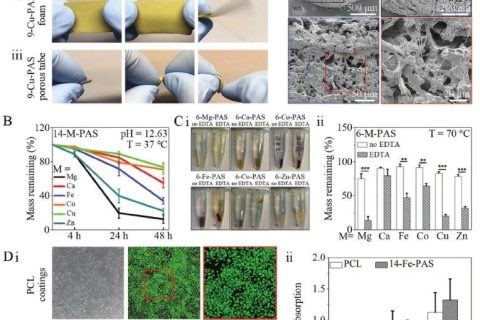 康奈爾大學(xué)王亞冬團隊《AM》：螯合交聯(lián)制備生物可降解彈性體