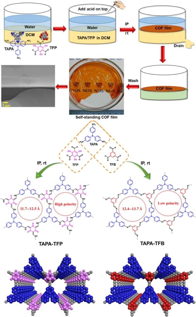 鐘臺生院士團隊《Science》子刊：雜質(zhì)無處遁形！高溶劑滲透率、柔性自支撐COF膜助力分子分離