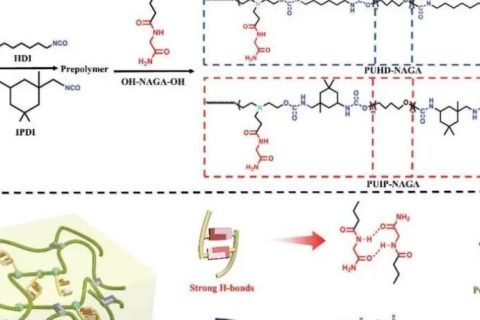 天津大學劉文廣教授、楊建海副教授團隊《AFM》：基于多重氫鍵擴鏈劑的自愈合聚氨酯：從超剛性彈性體到無溶劑型熱熔膠和AIE熒光涂層