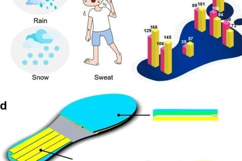 這只“鞋墊”不簡(jiǎn)單，登上《ACS Nano》！三校聯(lián)合開(kāi)發(fā)出不怕潮濕、可發(fā)電的智能鞋墊