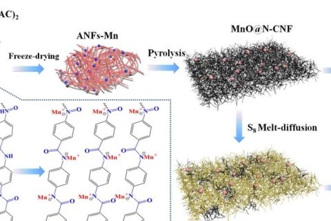 上海電力大學(xué)《JMCA》:如何簡(jiǎn)單有效地原位復(fù)合碳纖維和金屬納米顆粒？一種可用于超級(jí)電容器和鋰硫宿主的雙功能材料
