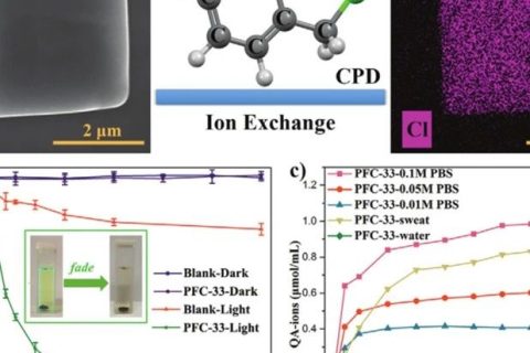 中科院福建物構所劉天賦《AM》：氫鍵有機骨架應用新突破！可用于離子響應型抗菌膜！