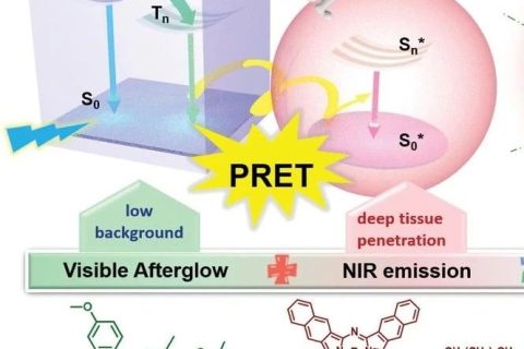 李振、李倩倩團隊《AM》：從室溫磷光到近紅外發(fā)光，實現(xiàn)高信噪比余輝成像