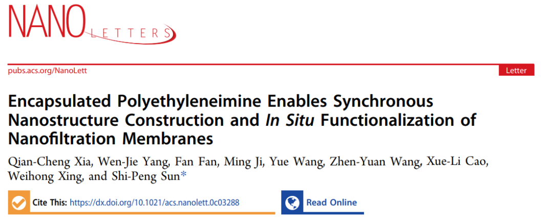 南京工業(yè)大學(xué)孫世鵬《Nano Letters》:“納米封裝”同步實現(xiàn)納濾膜的納米結(jié)構(gòu)構(gòu)筑和原位功能化