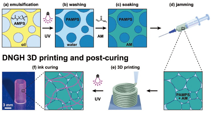 《AFM》：3D打印制造高強韌雙網(wǎng)絡顆粒水凝膠