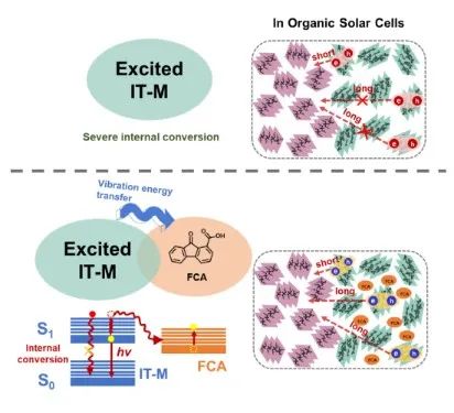北京師范大學(xué)薄志山等《AM》：提高有機光伏電池性能的新途徑——延長激子壽命、增加激子擴散距離