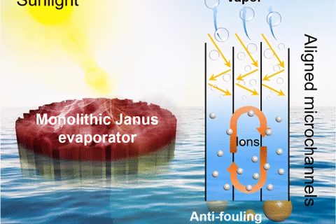 具有防污和減鹽特性的自給自足的Janus氣凝膠，用于穩(wěn)定日光蒸發(fā)