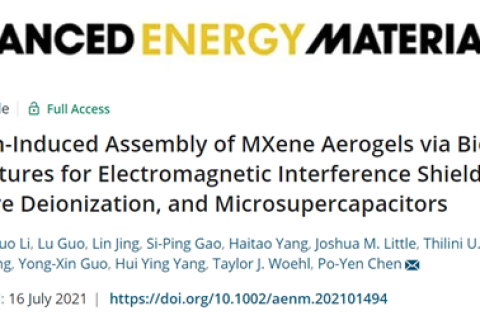 金屬離子誘導(dǎo)MXene氣凝膠，用于電磁干擾屏蔽和微型超級電容器