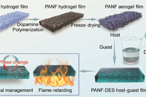 阻燃芳綸納米纖維氣凝膠-低共熔相變?nèi)軇┲骺腕w復(fù)合薄膜研究獲進(jìn)展