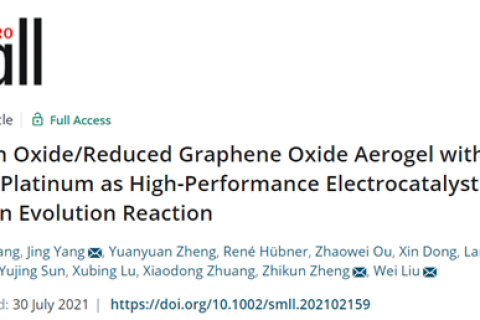 中山大學(xué)楊靜/劉衛(wèi)：低含量Pt氣凝膠作為析HER的高性能電催化劑