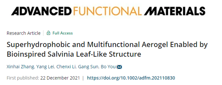 復(fù)旦大學(xué)游波教授《AFM》：仿生丹參葉狀結(jié)構(gòu)的超疏水多功能氣凝膠！