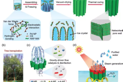 上硅所朱英杰團隊AFM：多功能仿生結構氣凝膠實現連續(xù)流動催化降解、水殺菌消毒、太陽能驅動高效水凈化和海水淡化