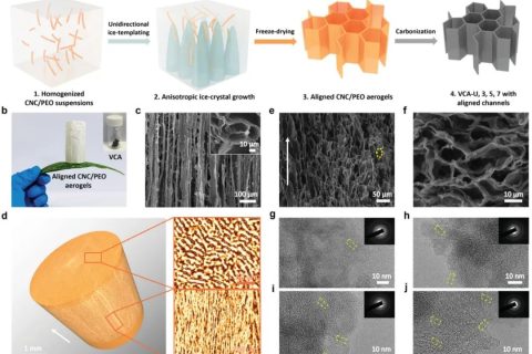 首次通過控制冰模板法冷卻速率實現(xiàn)高性能碳氣凝膠負極！