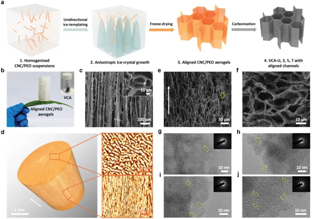 圖2 單向冰模板化VCA的形成機(jī)制示意圖及材料表征