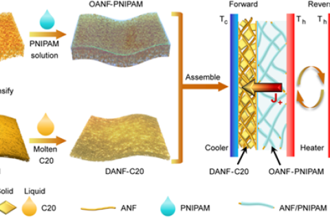 蘇州納米所提出氣凝膠薄膜限域相變流體構(gòu)筑柔性熱二極管策略
